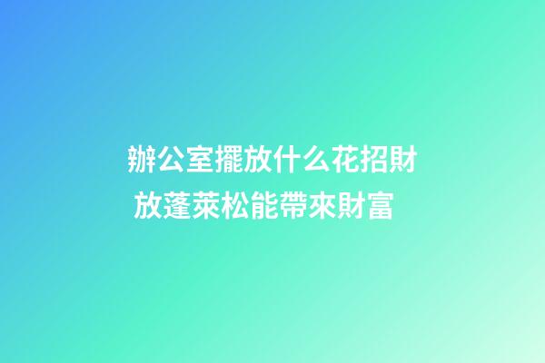 辦公室擺放什么花招財 放蓬萊松能帶來財富